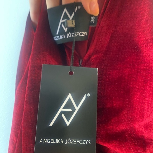 Elegant Velvet Burgundy Dress - Picture 6 of 6